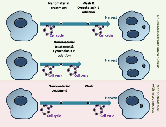 203 questions with answers in MICROFABRICATION