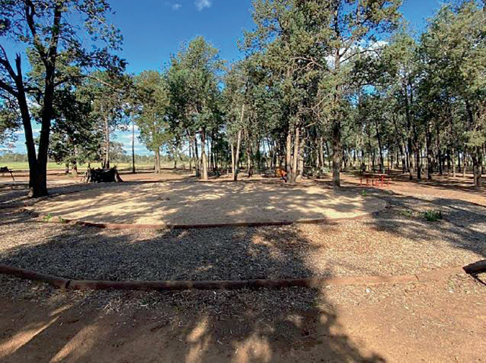 A photograph of an open ground with trees planted over some area.