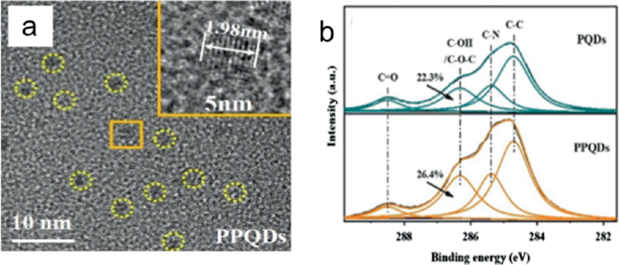 A, T E M image of the P P Q Ds reveals a granulated surface with a dimension of 1.98 nanometers. A line graph of intensity versus binding energy of P Q D and P P Q D forms peaks at C C bonds.