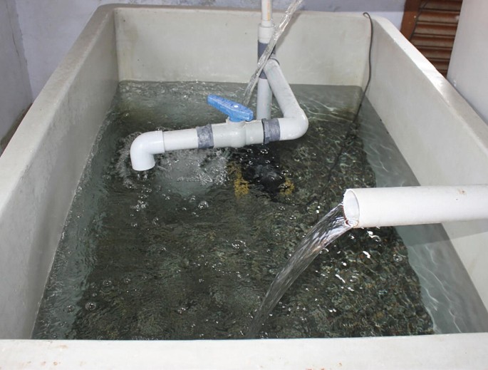 A photograph of the gravel bed filtration process. The bed is submerged due to the water coming from the inlet into the tank.