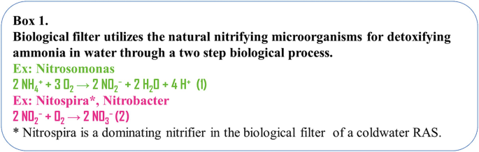 A screenshot of a box with the equations using natural nitrifying microorganisms to detoxify ammonia in water.