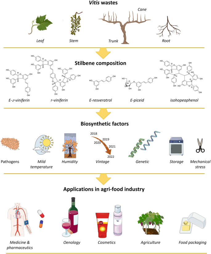 Toxicologia Hoy - Apps on Google Play