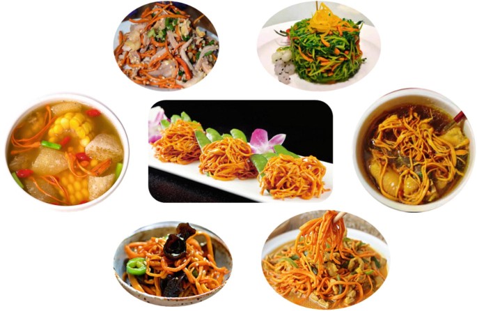 7 photographs of varieties of dishes cooked with Cordyceps militaris. One photo is at the center and the other 6 are arranged around it.