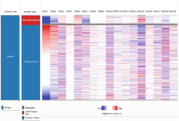 A heat map plots the breast under the primary site, primary tumor and solid tissue normal under sample type, and metastatic from low to high values for C D Ks 1 to 19.