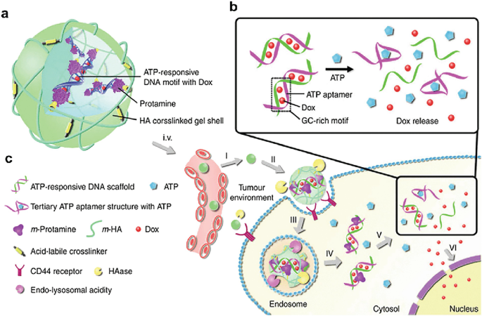Smart Drug Delivery Vehicle | Springer Nature Link