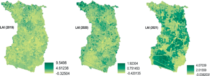 Three color gradient maps compare the spatial patterns of L A I over the years from 2019 to 2021. A color gradient scale with high and low values marked is beside each. The overall L A I across the entire map decreases as we move from 2019 to 2021.