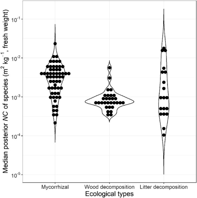 A violin plot of median posterior N C of species versus ecological types. The median of mycorrhizal lies between 10 power negative 3 and 10 power negative 2. The median for wood decomposition lies and litter decomposition lies at 10 power negative 3.