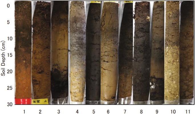 A graphical plot of soil depth versus numbers contains the sampled soil from different locations. The sampled soil is dark and contains cracks.