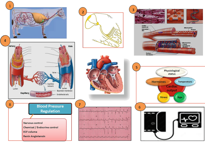 https://media.springernature.com/lw685/springer-static/image/chp%3A10.1007%2F978-981-19-9410-4_6/MediaObjects/518505_1_En_6_Figa_HTML.png