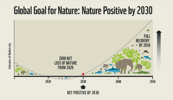 A diagram illustrates the global goal for nature. A diagram explains that by 2050, nature will have fully recovered, and from 2020 on, there will be zero loss of nature.
