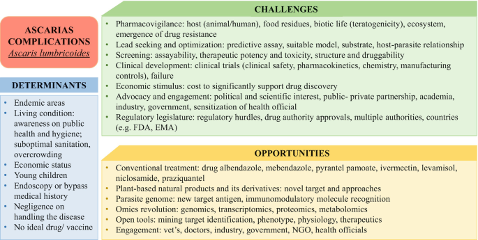 Approaches to Drug Discovery Against Ascariasis: Opportunity and Challenges in Plant-Based Products