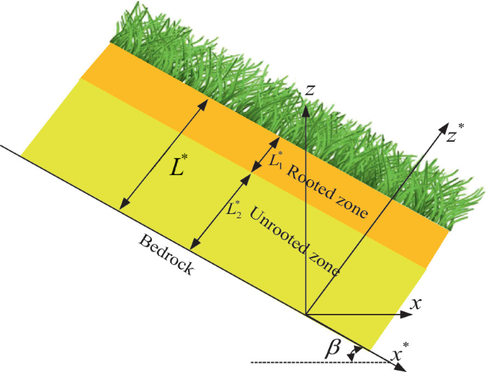 An illustration of rainfall induced landslides where L is the thickness of the soil, L 1 is the depth of the rooted zone, and L 2 is the thickness of the unrooted zone, all above the bedrock.
