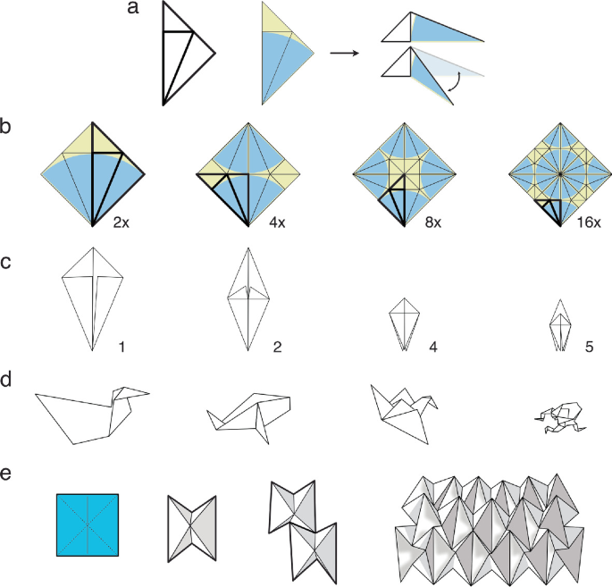 5 illustrations of origami. A, 3 triangle-based folds. B, 4 different units of the isosceles triangle molecule. C, the consecutive folded origami bases with 1, 2, 4, and 5 flaps. D, 4 origami structures of kite, fish, bird, and frog. E, 4 steps of modular folding pattern origami.