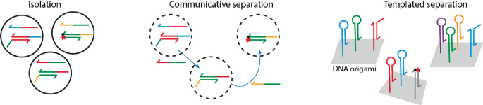 A schematic illustrates 3 types of separation, isolation, communicative separation, and templated separation. Templated separation consists of D N A origami.