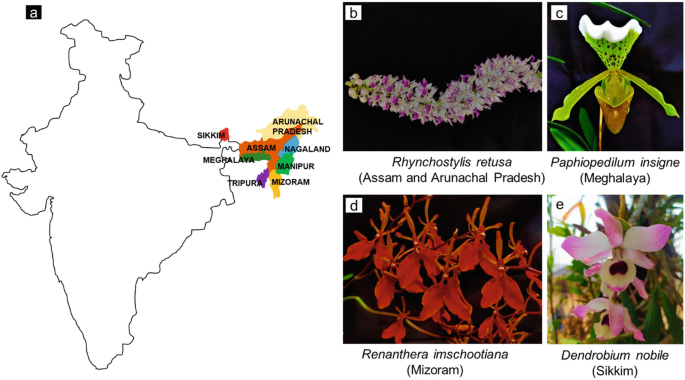 The Physioogy of Tropical Orchids in Relation To The Industry