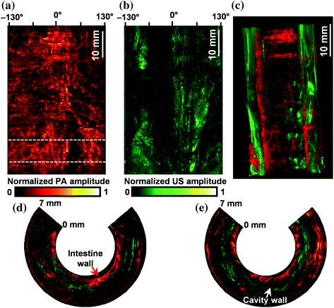 figure 17