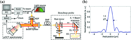 figure 19