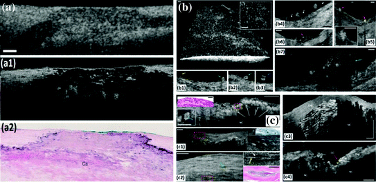 figure 27