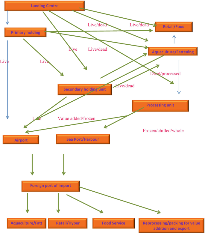 https://media.springernature.com/lw685/springer-static/image/chp%3A10.1007%2F978-981-32-9094-5_14/MediaObjects/465898_1_En_14_Fig17_HTML.png