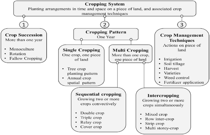 Agronomic Cropping Systems in Relation to Climatic Variability |  SpringerLink