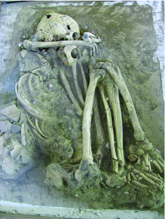 The Origins Expansion And Decline Of Early Hunter Gatherers Along The South China Coast Springerlink