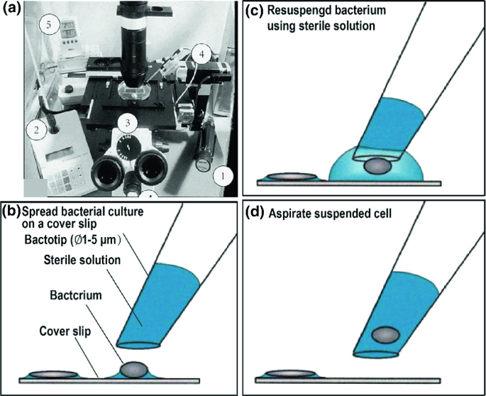 figure 18