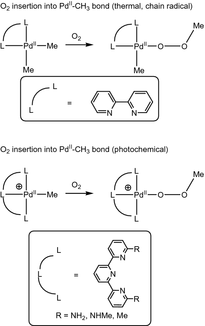 scheme 6