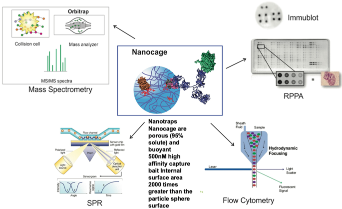 Nanotrap particle bait and shell chemistries.