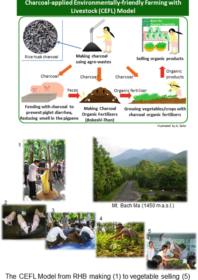 Recycle-Based Organic Agriculture in Japan and the World | SpringerLink