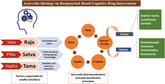 Ayurvedic Ideology on Rasapanchak-Based Cognitive Drug Intervention | Springer Nature Link