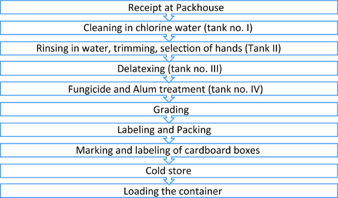 A flow diagram depicts the processes for banana exports. It includes receipt at packhouse, cleaning in chlorine water, rinsing in water, trimming, selection of hands, delatexing, fungicide and alum treatment, grading, labeling and packing, marking and labeling of cardboard boxes, cold store, and loading the container.