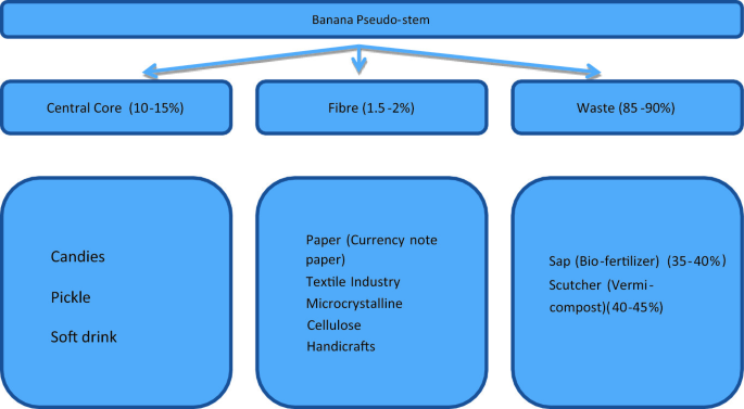 A flow diagram classifies the banana pseudo-stem into 10 to 15 percent central core, 1.5 to 2 percent fibre, and 85 to 90 percent waste. The central core includes candies, pickle, and soft drink. Fibre includes paper, the textile industry, microcrystalline, cellulose, and handicrafts. Waste includes sap and scutcher.