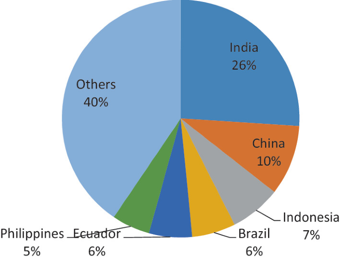 A pie chart depicts the percentage share of banana production. It plots India 26 %, China 10 %, Indonesia 7 %, Brazil 6 %, Ecuador 6 % , Philippines 6 %, and others 40 % .