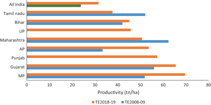 A horizontal bar graph of productivity in t n per ha for T E 2018-19 and T E 2008-09 in all of India, Tamil Nadu, Bihar, U P, Maharashtra, A P, Punjab, Gujarat, and M P. The productivity of T E 2018-19 was high in M P and low in all of India. The productivity of T E 2008–09 was high in Maharashtra and low in all of India.