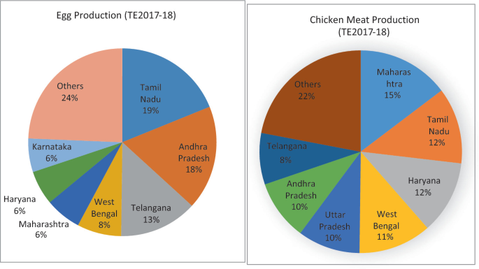 Two pie charts on egg production and chicken meat production. 1. Tamil Nadu 19, Andra Pradesh 18, Telangana 13, West Bengal 8, Maharashtra 6, Haryana 6, Karnataka 6, and other 24 percent. 2. Maharashtra 15, Tamil Nadu 12, West Bengal 11, Uttar Pradesh 10, Andra Pradesh 10, Telangana 8, and others 22.