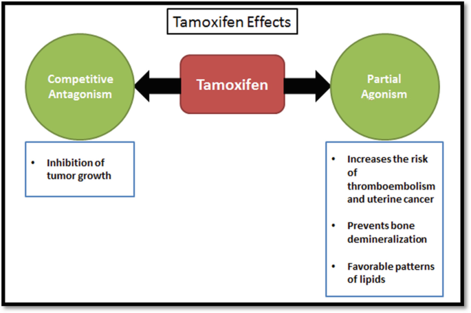 Hormonal Agents in the Pharmacotherapy of Cancer | Springer Nature Link