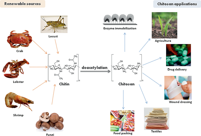 Sources OF Chitin And Chitosan POWDER Sources OF Chitin And Chitosan POWDER