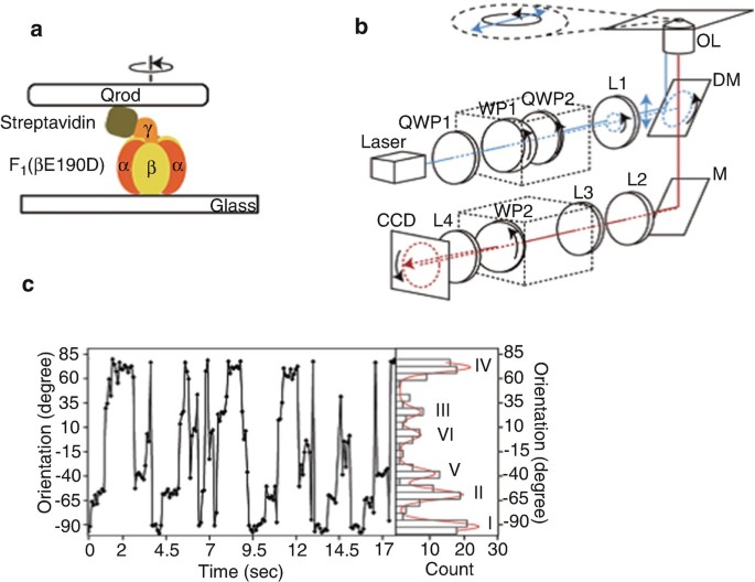 Semiconductor Nanocrystals for Biological Imaging and ...