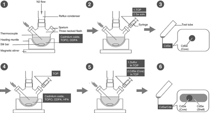 Semiconductor Nanocrystals for Biological Imaging and ...