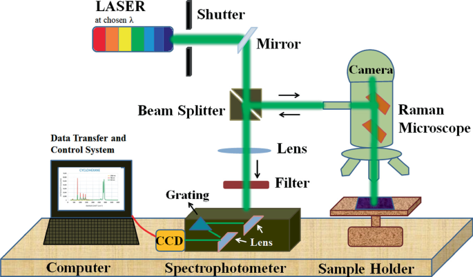 Overview of Raman Spectroscopy: Fundamental to Applications | SpringerLink