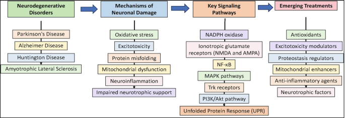 Mechanisms of Neuronal Damage and Dysfunction | SpringerLink