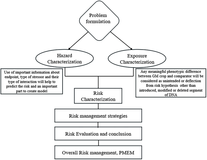 Problem Formulation Risk Assessment Next-Generation Crop Improvement: Social, Ethical, and Regulatory ...
