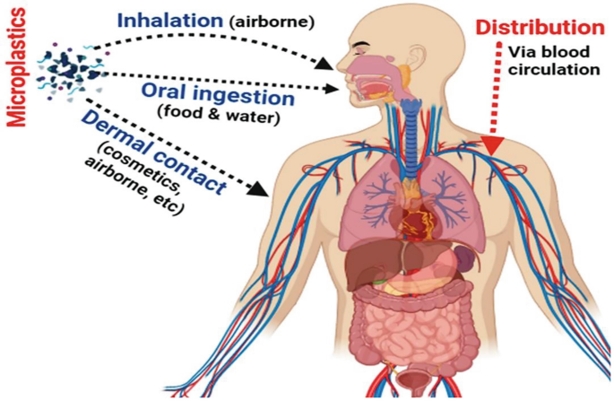 Microplastics: An Emerging Concern of Human Health | SpringerLink