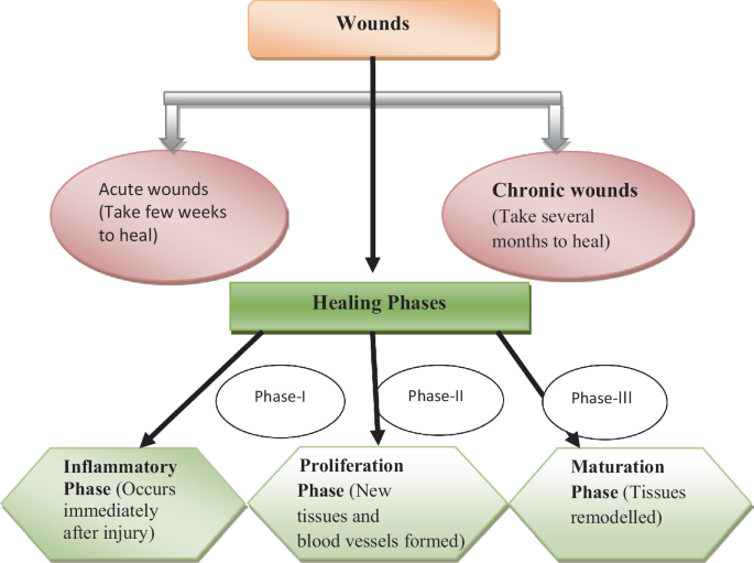 Classification of the Wound and Their Nature | Springer Nature Link