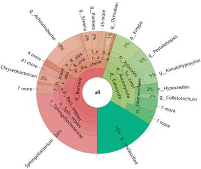 Metagenomics and Discovery of Novel Xylanases | Springer Nature Link