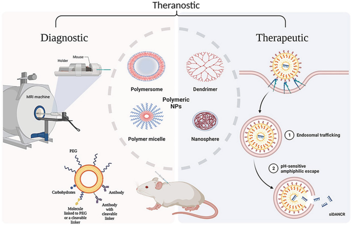 Functional Nanohybrids for Solid Tumor Theranostics | SpringerLink