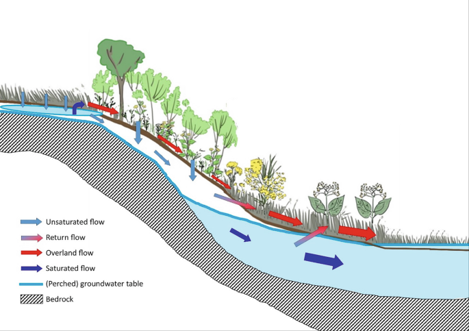 Forest Hydrological Processes in the Lesser Himalaya: A Critical Review ...