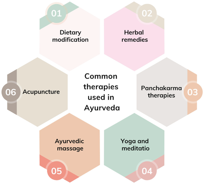 Exploring the Potential of Ayurveda in Developing Sustainable and Reliable Treatment Options for the Future | Springer Nature Link