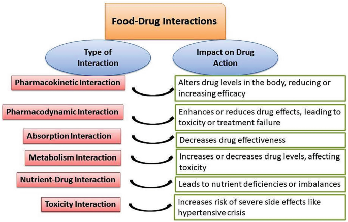 FoodDrug Interactions | Springer Nature Link FoodDrug Interactions | Springer Nature Link