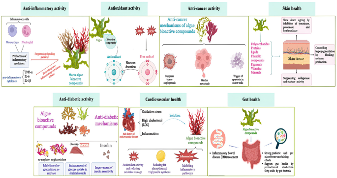 Marine Algae: A Sustainable Resource for Nutritional Supplements ...